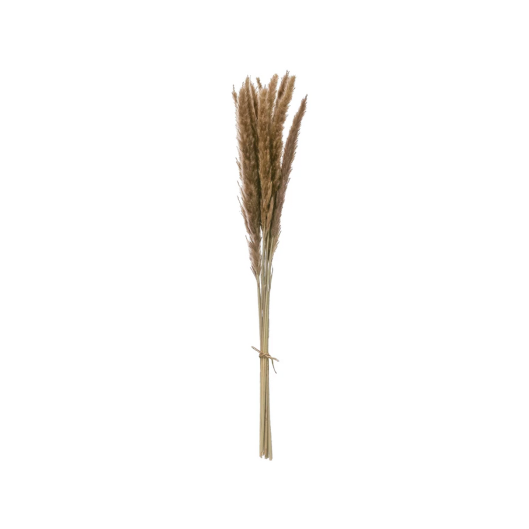Natural Fountain Grass