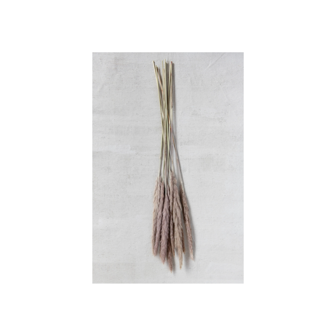 Natural Fountain Grass