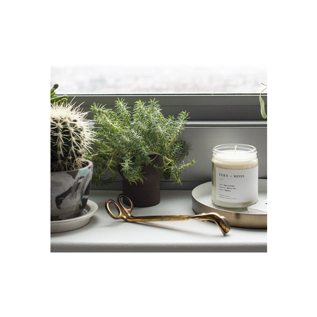 Fern + Moss Minimalist Candle