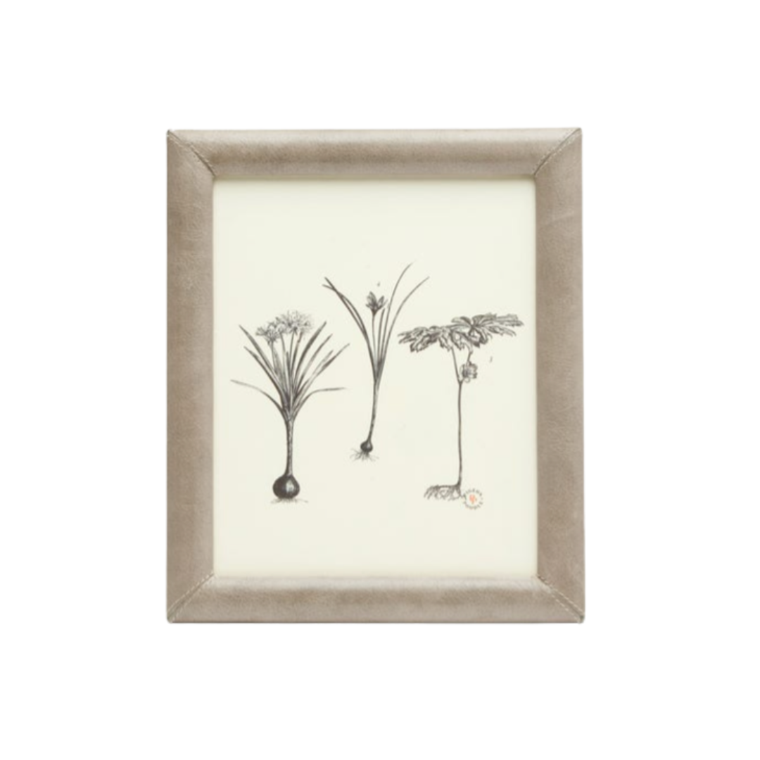 Eton Frames
