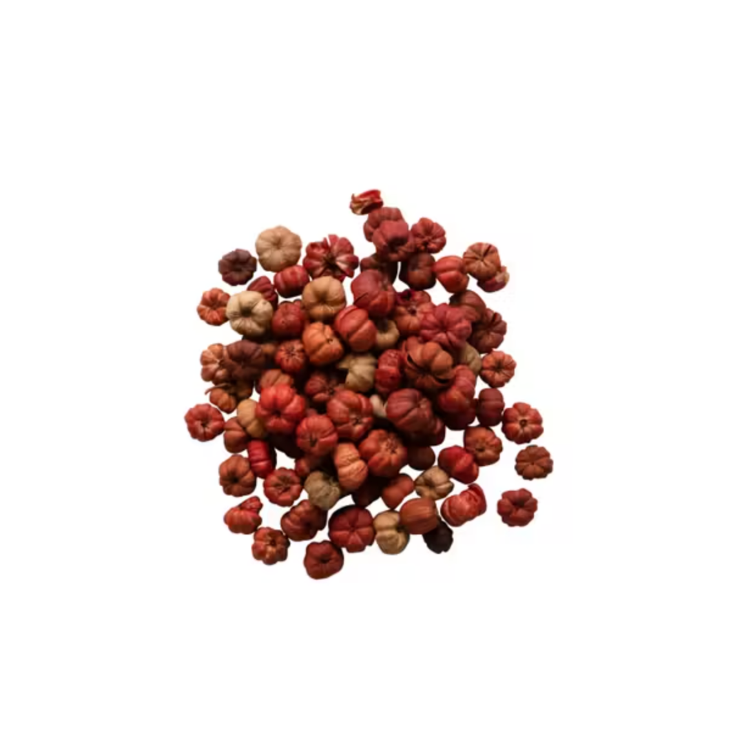 Dried Natural Red Peepal Pods